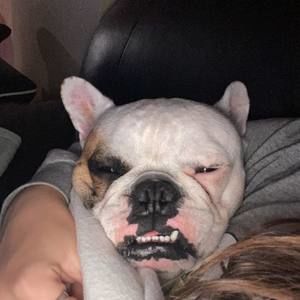 Meet your Posher, Avalon